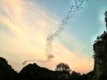 morcegos saem ao entardecer para dar um rolezinho e formam essa marca no céu